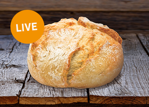 Register for the live demonstration of the FORMPROFI baking system for small bakery items